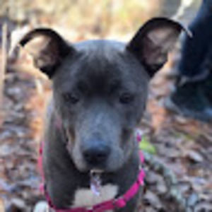 Meet your Posher, Indiana